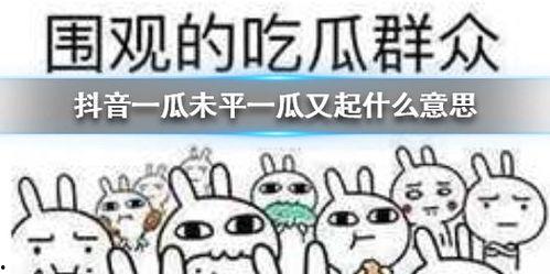 抖音吃瓜介绍,揭秘热门事件背后的真相与笑料