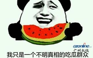 吃瓜群众出,吃瓜群众视角下的娱乐圈风云录