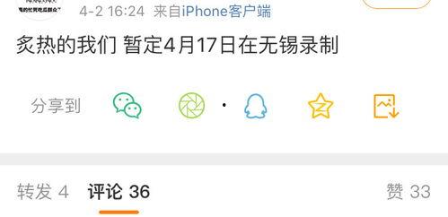 录制吃瓜,揭秘幕后吃瓜者的真实故事