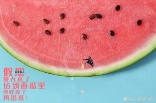 吃瓜境界,揭秘吃瓜境界的升华之旅