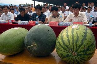 亳州今日吃瓜新闻,揭秘街头热议焦点
