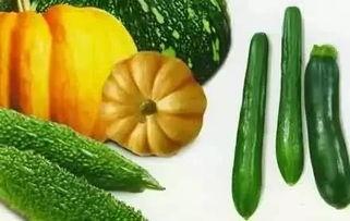 疯癫吃瓜,揭秘娱乐圈的疯狂幕后故事