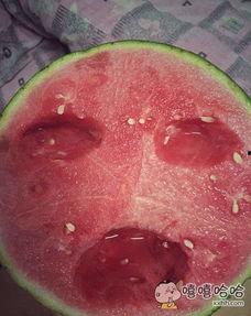 阳爸吃瓜,揭秘娱乐圈幕后故事