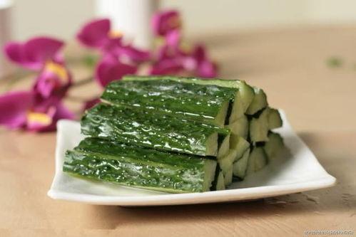 吃瓜的黄瓜苗,黄瓜苗的生机盎然与吃瓜乐趣