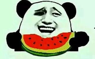 过完年之后吃瓜,揭秘娱乐圈新鲜事