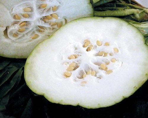 烂冬瓜吃瓜大队,揭秘网络热点的幕后故事