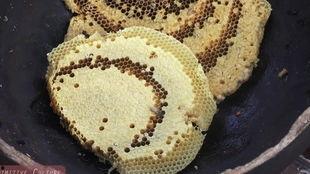 吃瓜会吃肚里虫子吗,吃瓜真的会导致肚里长虫？揭秘瓜果安全食用真相