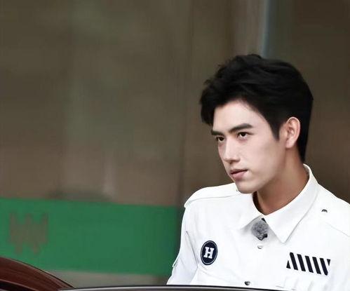 吃瓜陈飞宇粉丝,吃瓜群众的热议焦点