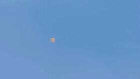 吧唧小兔吃瓜,吧唧小兔的瓜界探险记