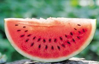 奏耐小号吃瓜,揭秘网络吃瓜背后的趣味与真相