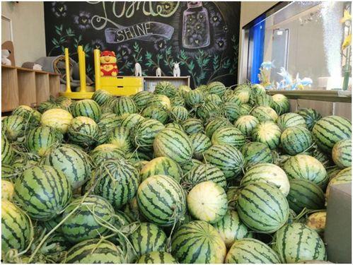 吃瓜官方免费,吃瓜官方带你畅游明星幕后生活