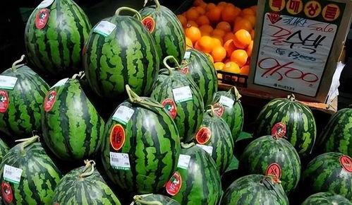 吃瓜还是吃现场的新鲜瓜,吃瓜还是吃现场,新鲜瓜果等你来尝
