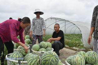柏林吃瓜群,揭秘德国街头美食风云