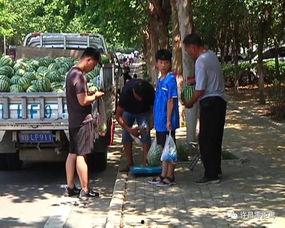 内江吃瓜群众,吃瓜群众的热议焦点