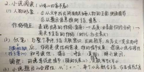 吃瓜仪式阅读理解,一场独特的文化盛宴